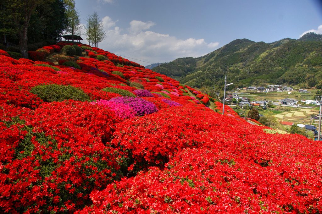 宮崎市の天神山公園