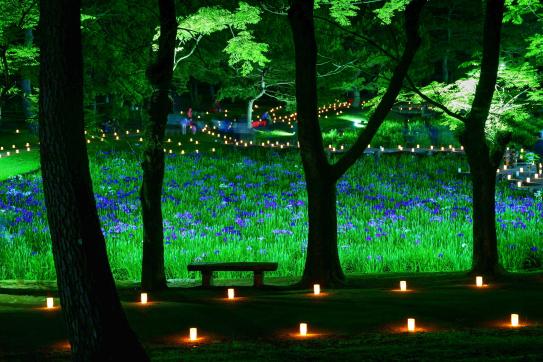 宮崎市阿波岐原森林公園市民の森