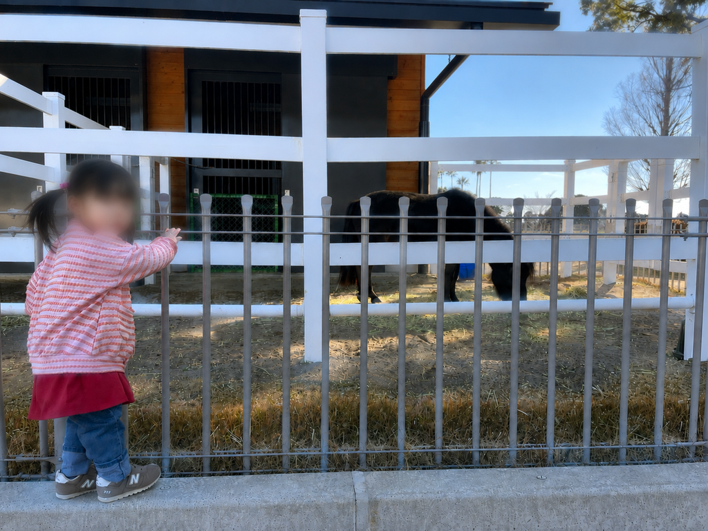 JRA宮崎育成牧場でポニーを見学する2歳の子ども